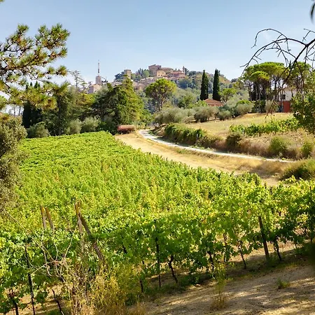 Il Vigneto Holiday home *