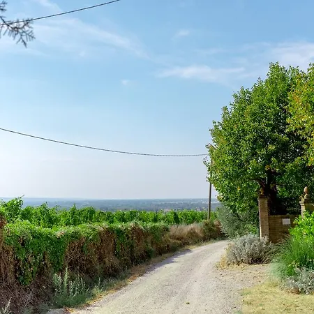 Holiday home Il Vigneto *