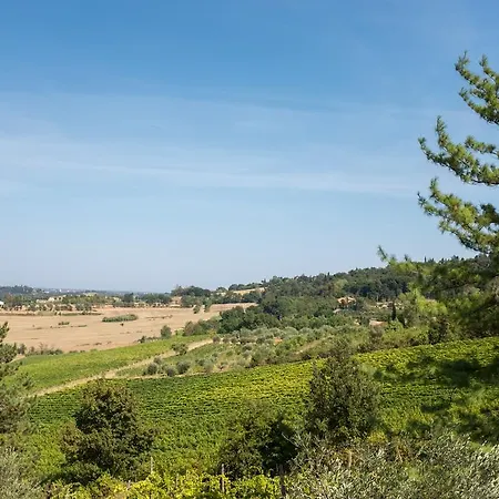 Il Vigneto