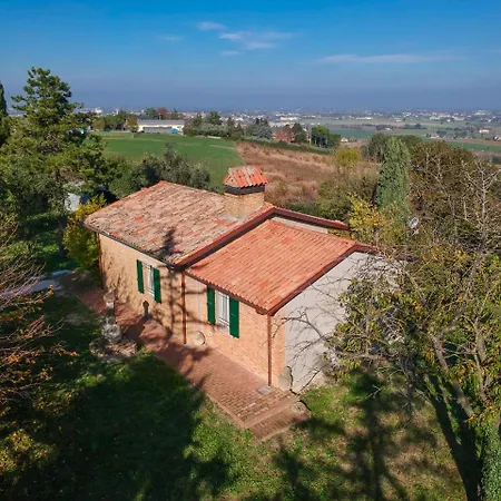 Il Vigneto