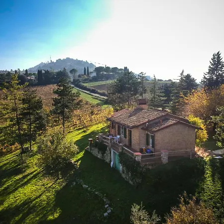 Il Vigneto * Bertinoro