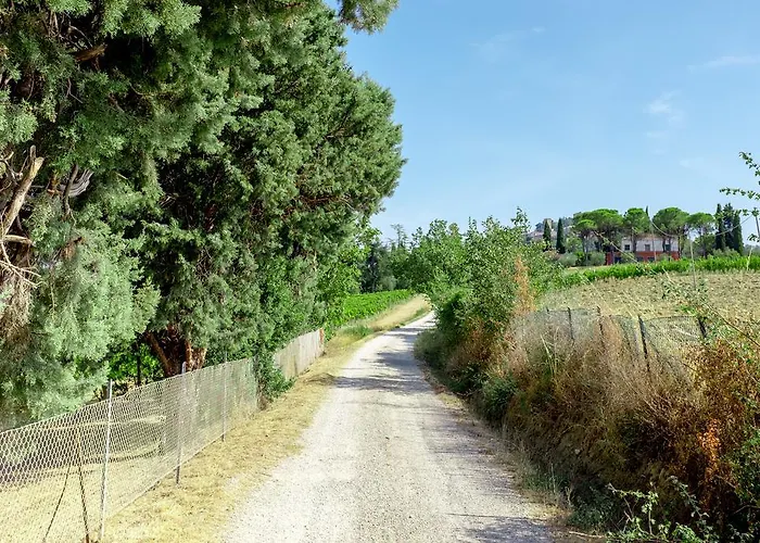 Il Vigneto Bertinoro